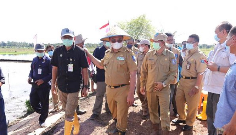 Erzaldi Siapkan Pergub Larang Lada Masuk Babel   