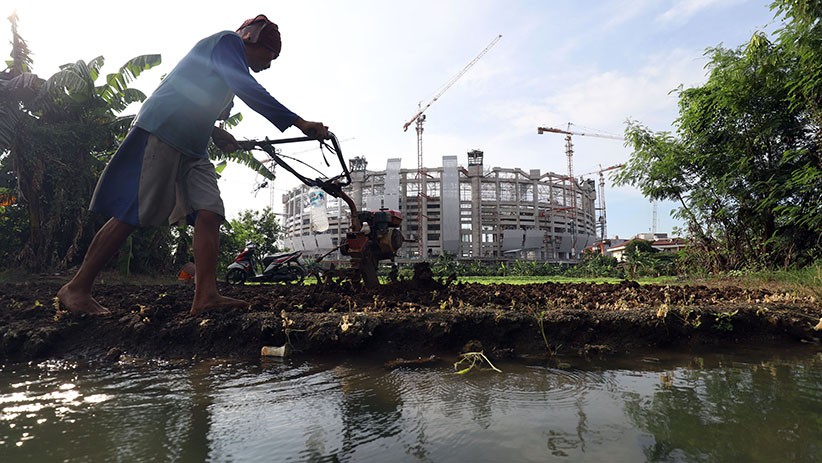 Bercocok Tanam di Lahan Sempit Ibu Kota - Bagian 3