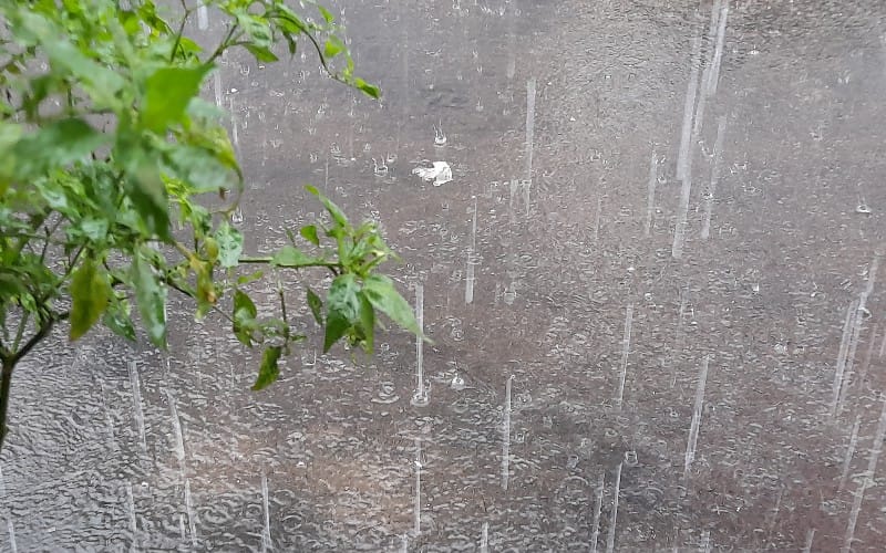 BMKG Keluarkan Peringatan Sumsel Kembali Berpotensi Hujan Disertai Kilat  