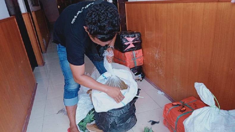 Polres Kepulauan Sangihe Gagalkan Penyelundupan 208 Botol Miras Cap Tikus ke Manado