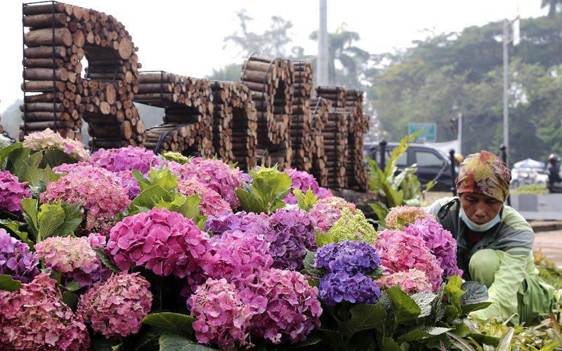 Sambut HUT Ke-494 Jakarta, Kawasan Patung Kuda Dipercantik dengan Tanaman Hias - Bagian 5