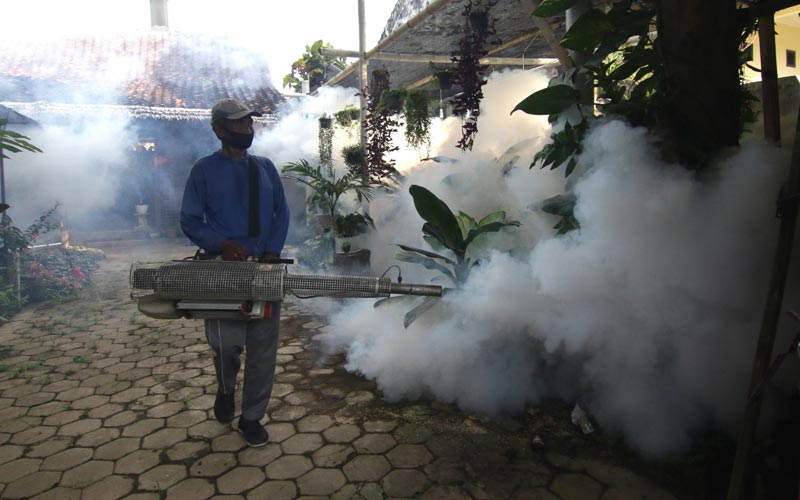 Dua Keluarga Terserang Demam Berdarah, Fogging di Sobo Banyuwangi Digencarkan - Bagian 1