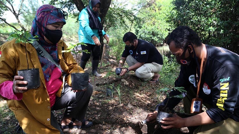 Kurangi Polusi Kota, Aktivis Lingkungan Tanam Pohon Sapu Tangan - Bagian 2