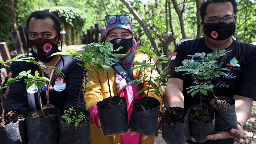 Kurangi Polusi Kota, Aktivis Lingkungan Tanam Pohon Sapu Tangan - Bagian 3
