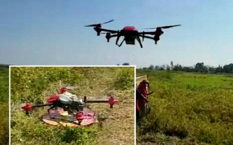 Distan HSU Pertimbangkan Penggunaan Drone Pembasmi Hama di Lahan Pertanian