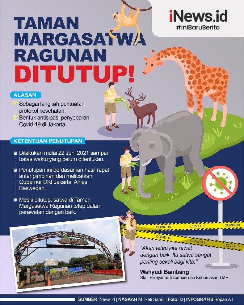 Infografis Kebun Binatang Ragunan Tutup 