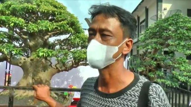 Pameran Bonsai di Temanggung, Ada yang Pernah Ditawar Rp500 Juta 