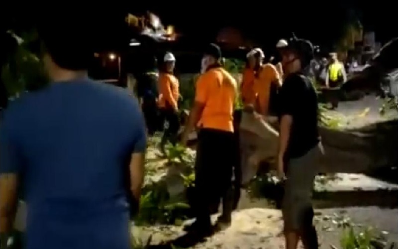 2 Ambulans Bawa Pasien Terjebak Pohon Tumbang di Buleleng