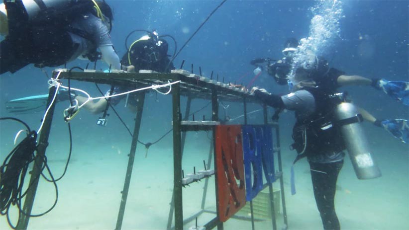 HUT ke-75, BNI Tanam 1.946 Bibit Terumbu Karang di Perairan Sulawesi Utara - Bagian 2