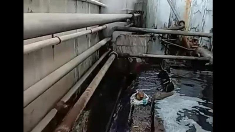 Tercemar Limbah Pabrik Lebih 3 Tahun, Warga Pekalongan Hanya Bisa Mengeluh