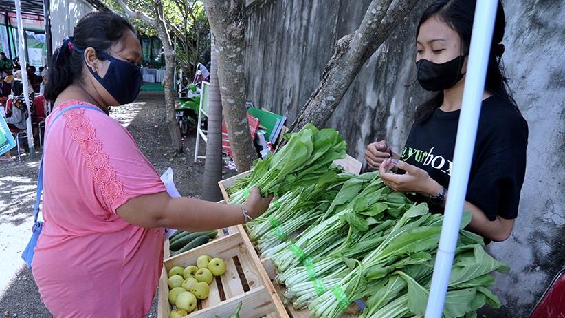 Sayuran Gratis Dibagikan untuk Peserta Vaksinasi - Bagian 1