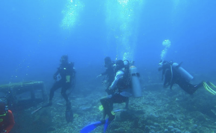 Menko Marves Tunda Pelaksanaan Sail Tidore 2021      