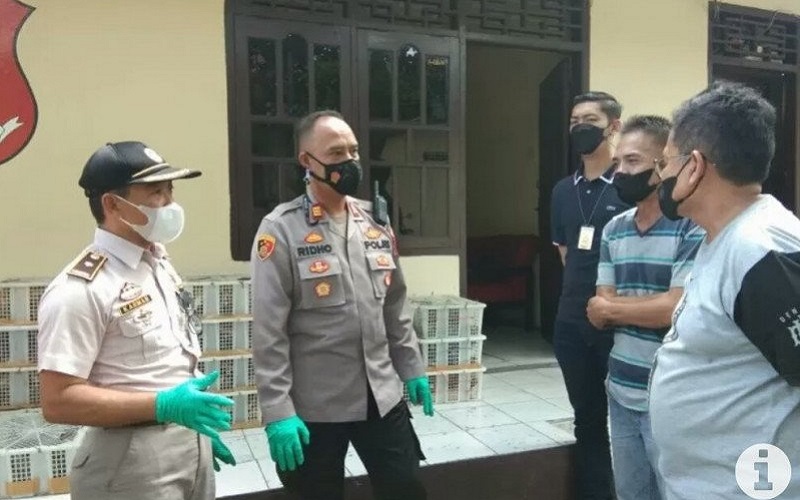 3.320 Ekor Burung Liar Asal Kayuagung Gagal Diselundupkan ke Jawa
