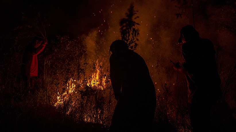 Kemarau Tiba, Perhutani KPH Bandung Utara Waspadai Kebakaran Hutan