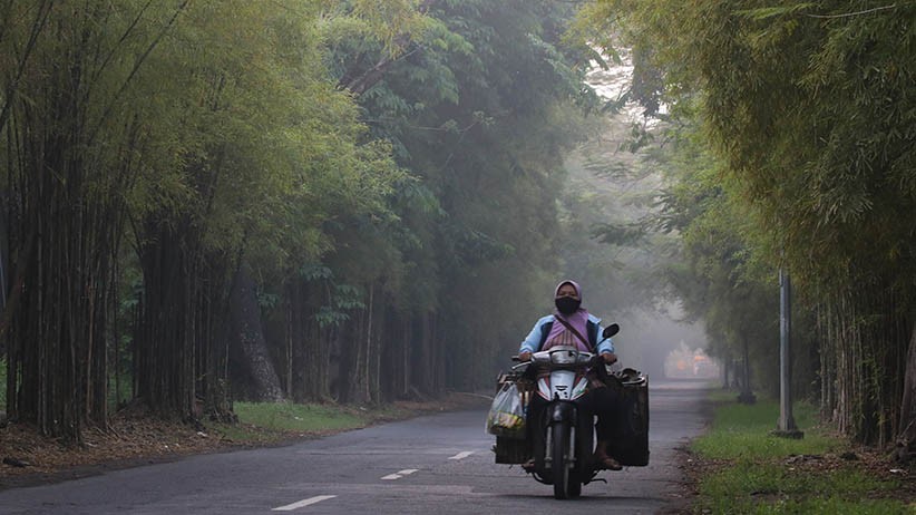 Taman Hutan Raya Surabaya Kembali Ditutup - Bagian 2