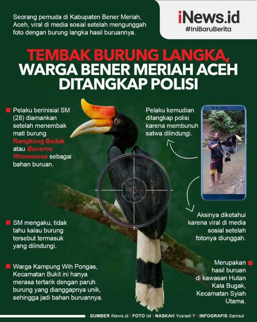 Infografis Tembak Burung Langka, Warga Bener Meriah Aceh Ditangkap Polisi