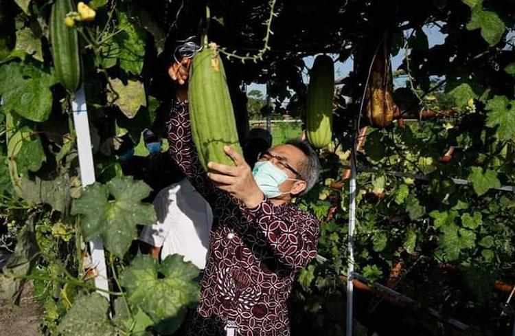 Kabupaten Bantul Fokus Pengembangan Pertanian Berbasis Teknologi