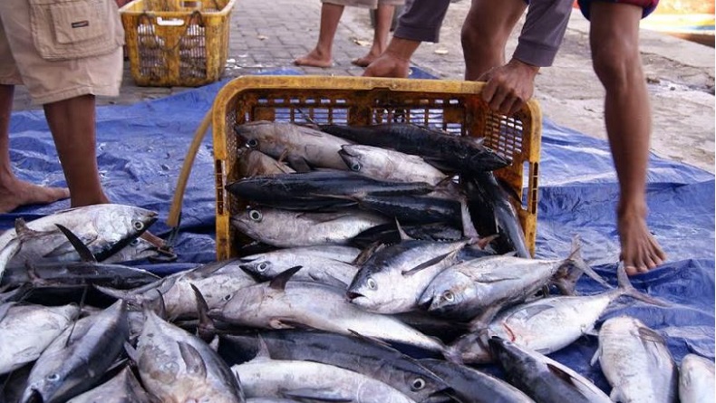 Manado Inflasi 0,07 Persen di Juni, Dipicu Kenaikan Harga Ikan Deho