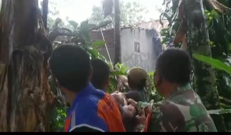 Hujan Badai Landa Banyumas, Pohon di Kebun Mayangsari Tumbang Timpa Rumah Warga