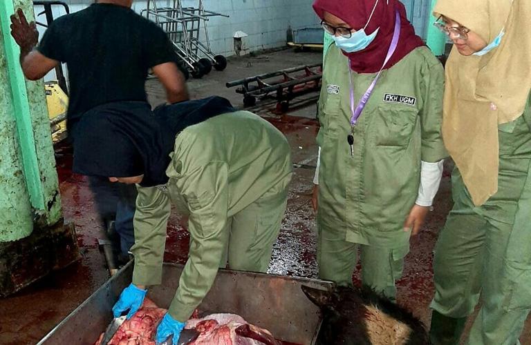 Kuota Penuh, RPH Salatiga Tolak Penyembelihan Hewan Kurban 3 Hari Pertama