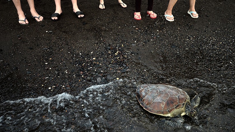 Ritual Fang Sheng, Umat Buddha Sulawesi Utara Lepas Hewan ke Alam Bebas - Bagian 3