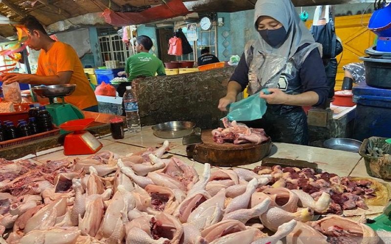  Jelang Idul Adha, Harga Ayam Potong di Palembang Anjlok Sama dengan Ikan Lele