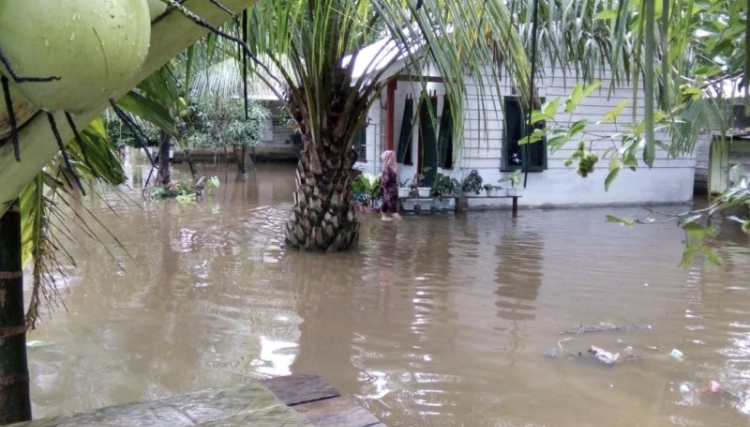 title Hujan Deras, 40 Desa di Aceh Jaya Banjir Hujan Deras, 40 Desa di Aceh Jaya Banjir