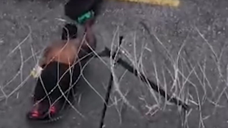 Ulah Nekat Warga Malaysia Langgar Lockdown Covid, Kawat Berduri pun Diterobos