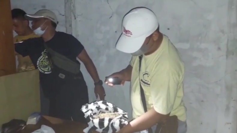 Apes, Pengedar Ganja di Padang Ditangkap Usai Transaksi dengan Polisi