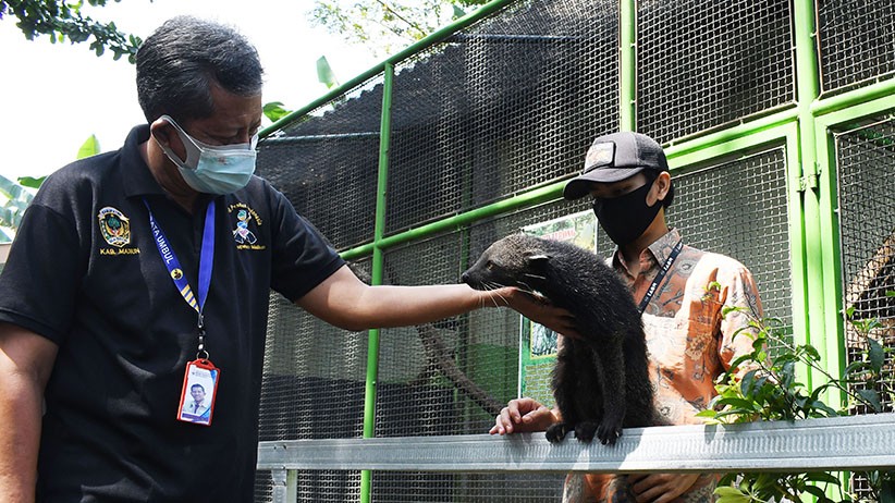 Kebun Binatang Madiun Terdampak PPKM Darurat - Bagian 3