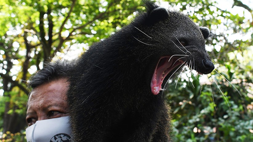 Kebun Binatang Madiun Terdampak PPKM Darurat - Bagian 2