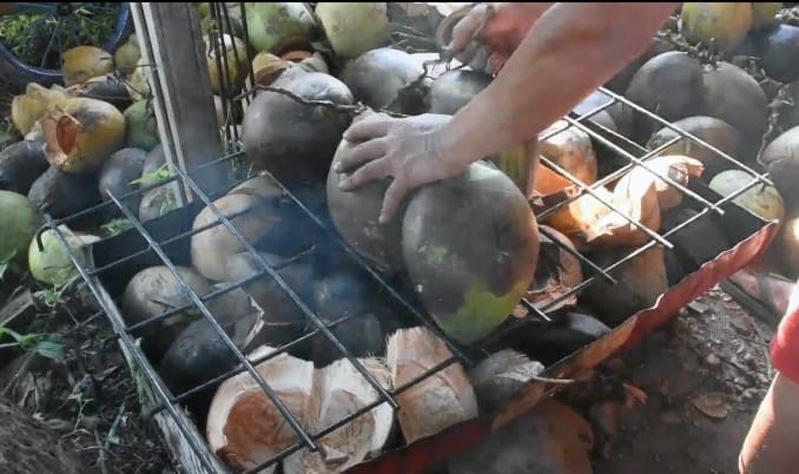 Obat Penambah Imunitas Sulit Didapat, Warga Kendal Berburu Kelapa Muda Bakar
