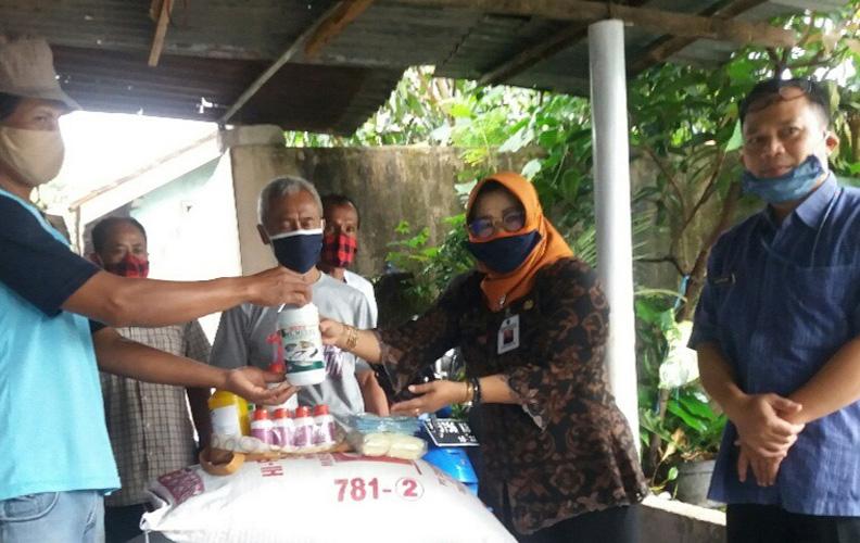 PPKM Darurat, Panitia Penyembelihan Hewan Kurban Harus Perhatikan Hal Ini