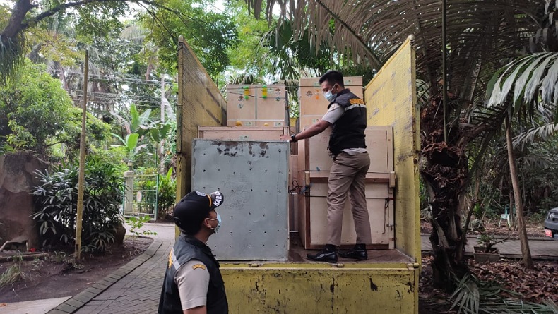 title Bersama BKSDA, Karantina Pertanian Manado Translokasi 107 Satwa Endemik Papua Bersama BKSDA, Karantina Pertanian Manado Translokasi 107 Satwa Endemik Papua