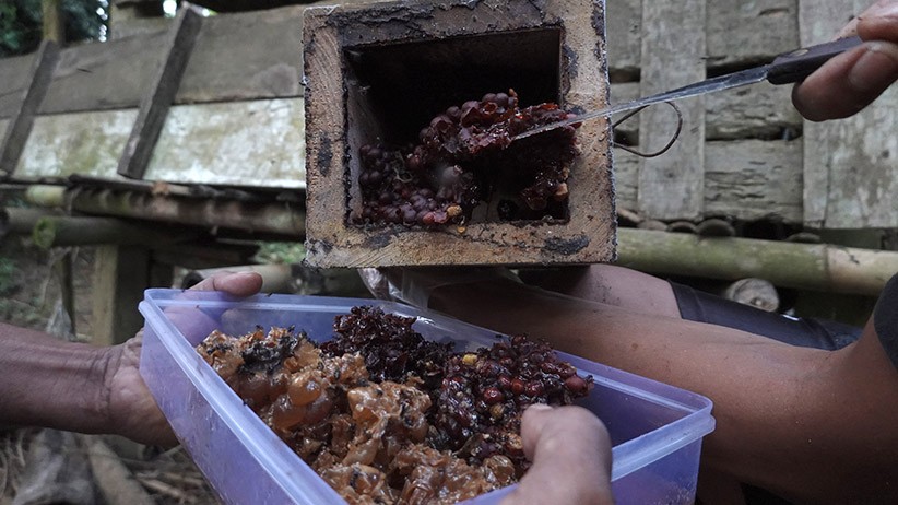Penjualan Madu Klanceng Naik 2 Kali Lipat Selama Pandemi - Bagian 3
