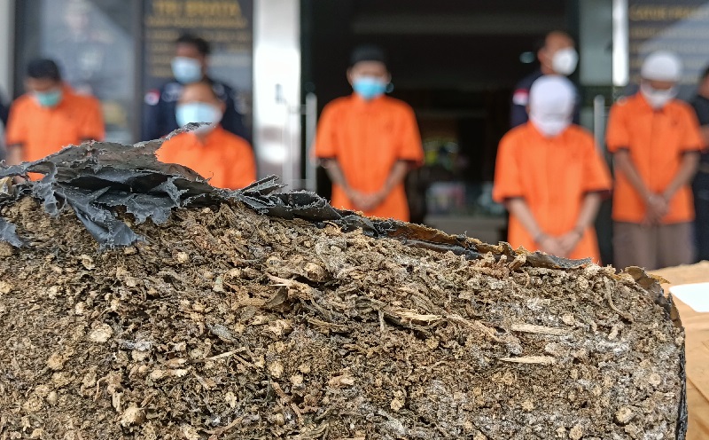 title Masuk Jayapura sambil bawa Ganja, Pemuda Papua Nugini Diciduk Polisi Masuk Jayapura sambil bawa Ganja, Pemuda Papua Nugini Diciduk Polisi