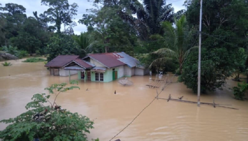 Banjir Sintang Rendam 30 Desa, Ketinggian Air hingga 6 Meter, Ribuan Warga Mengungsi