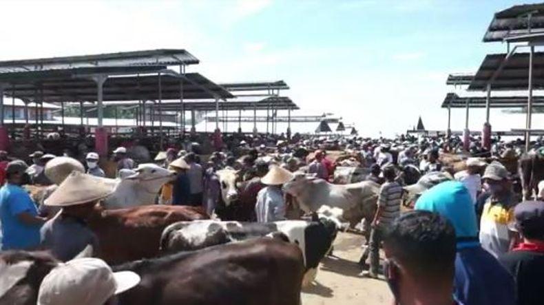 Ternak Terpapar Antraks, Dinas Perdagangan Gunungkidul Belum  Batasi Jual Beli Sapi