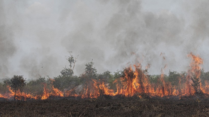 Kebakaran Lahan di Desa Palem Raya Ogan Ilir, Api Cepat Menjalar - Bagian 1