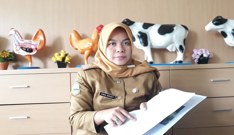 Dispernakan KBB Minta 63 Hewan Kurban Tak Dikurbankan, Ini Alasannya