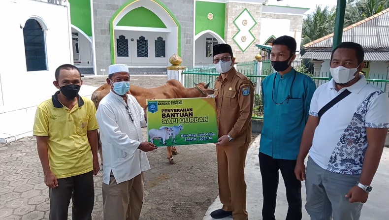 Pemkab Bangka Tengah Serahkan 65 Sapi Kurban untuk Masyarakat