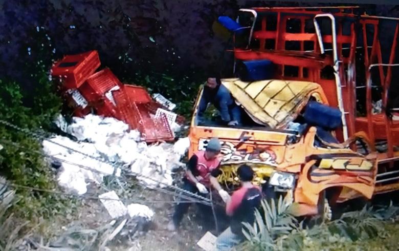 Truk Terjun ke Jurang Sedalam 60 Meter di Banjarnegara, Ribuan Ayam Potong Mati