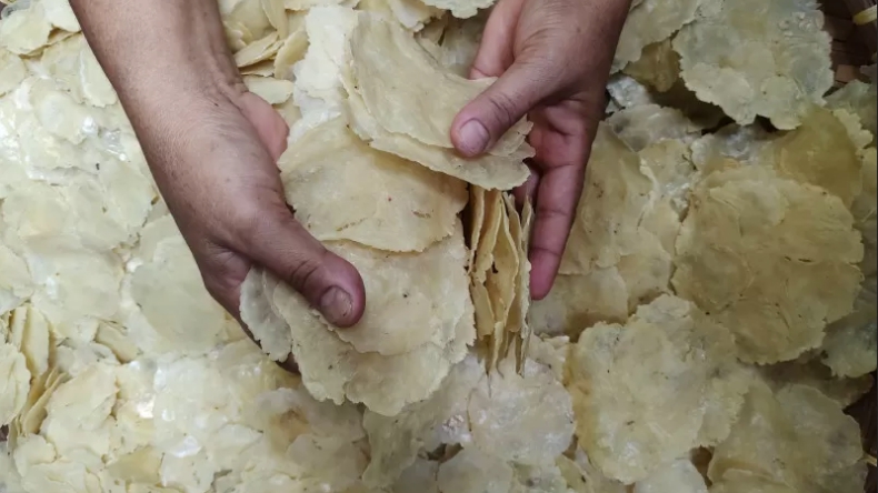 Pasokan Melinjo Melimpah, Harga Emping Lampung Stabil di Rp60.000 per Kg