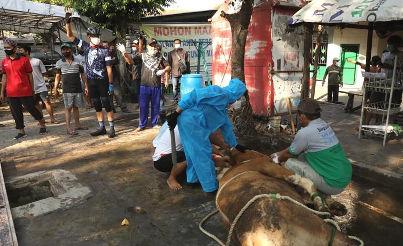 title PPKM Darurat, Begini Suasana Penyembelihan Hewan Kurban di Kota Semarang PPKM Darurat, Begini Suasana Penyembelihan Hewan Kurban di Kota Semarang