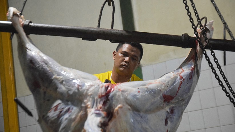 Potret Tukang Jagal Hewan Kurban di RPH Ungaran - Bagian 3