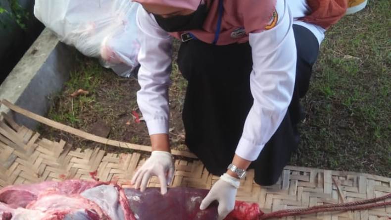 Awasi Penyembelihan Hewan Kurban, Pemkab Sukoharjo Antisipasi Adanya Cacing Hati 