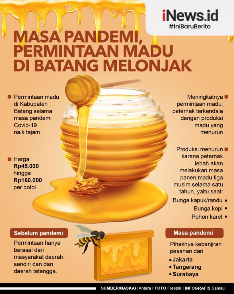 Infografis Masa Pandemi, Permintaan Madu di Batang Melonjak
