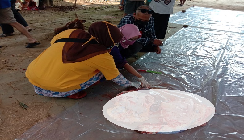 Kasus Cacing Hati Banyak Ditemukan pada Hewan Kurban di Purwakarta