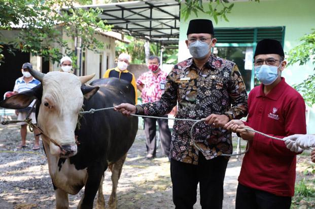  Baznas Sleman Tebar Kurban ke Masjid yang Belum Pernah Sembelih Sapi