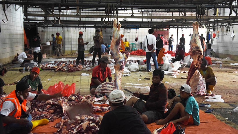 Pemotongan Hewan Kurban di RPH Cakung Meningkat - Bagian 2